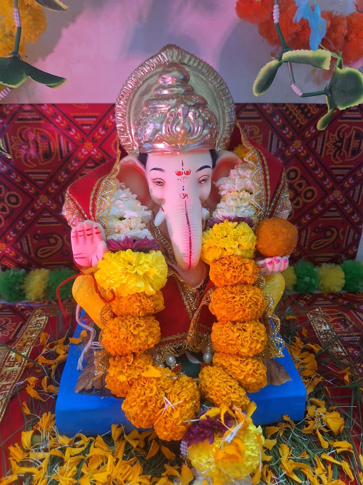 whatsapp image 2026 03 16 at 5.08.37 pm